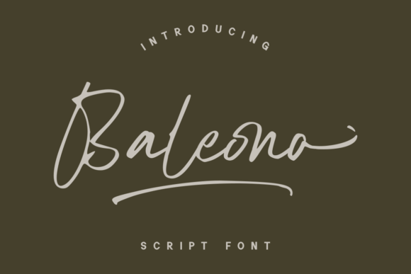 Baleono: A Classy Font for Your Business